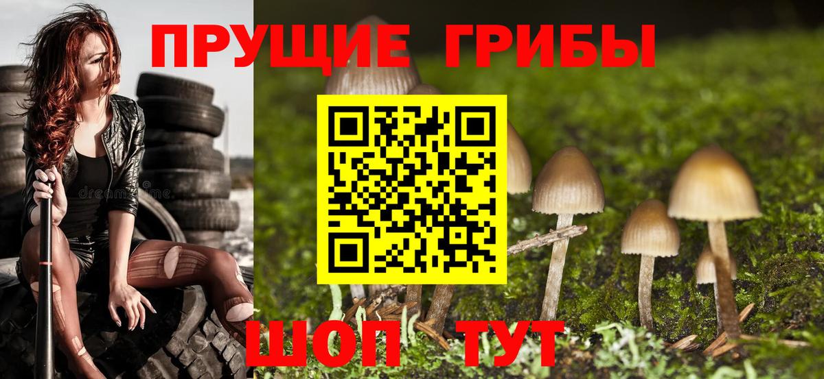 закладки  Вход с VPN  Советский  Галлюциногенные грибы GOLDEN TEACHER 